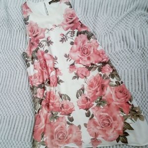 Dainty Hooligan Floral Shift Dress